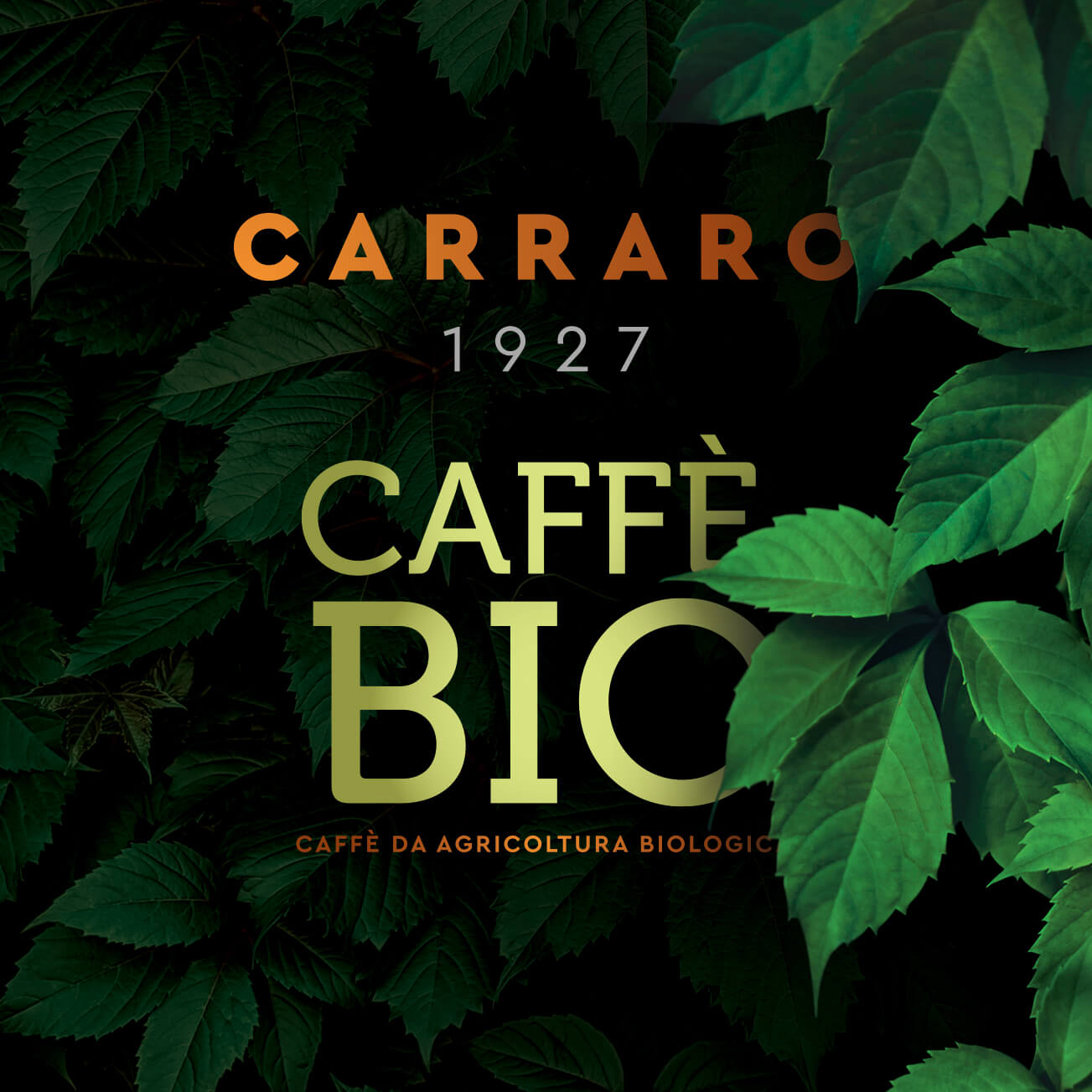 CAFEA MĂCINATĂ BIO 100% ARABICA 250g